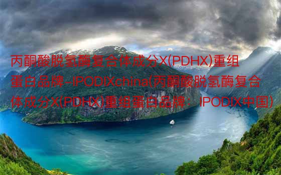 丙酮酸脱氢酶复合体成分X(PDHX)重组蛋白品牌-IPODIXchina(丙酮酸脱氢酶复合体成分X(PDHX)重组蛋白品牌：IPODIX中国)